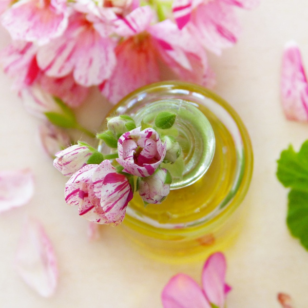 geranium essential oil